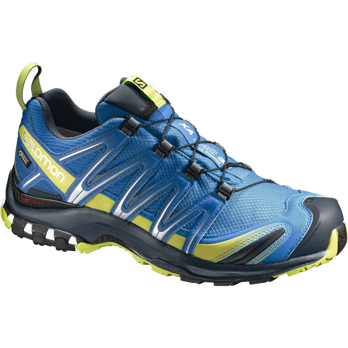 SALOMON XA PRO 3D GTX® Philippines - Men's Trail Running Shoes - Blue | 146978-FCY